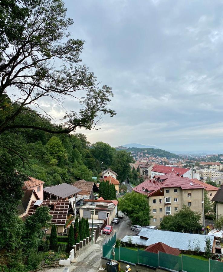 Nature Apartment - Minutes Away From The Old Town And Afi Mall Braşov Esterno foto