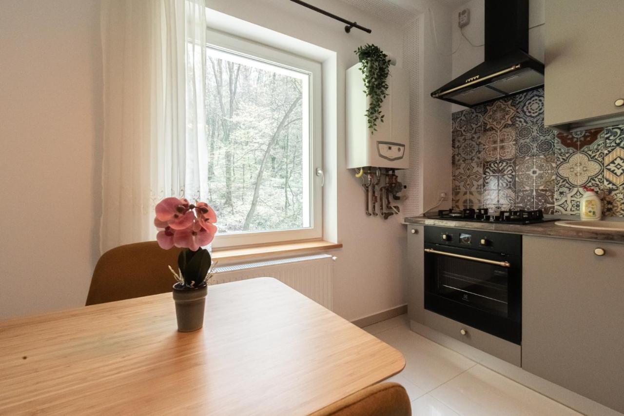 Nature Apartment - Minutes Away From The Old Town And Afi Mall Braşov Esterno foto